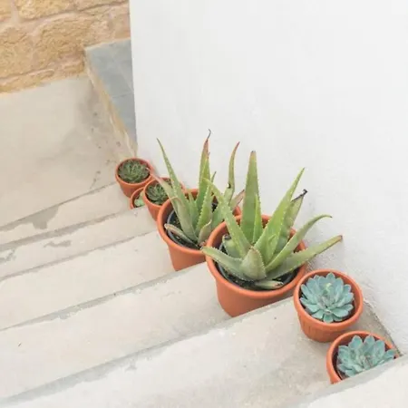 Authentic Gf With Terrace At The 3 Cities Marina Cospicua